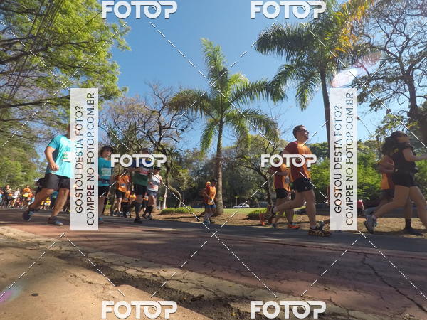 Buy your photos of the event35� Corrida INTEGRA��O EPTV 10K on Fotop
