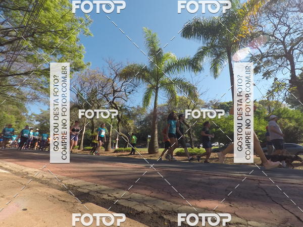Buy your photos of the event35� Corrida INTEGRA��O EPTV 10K on Fotop