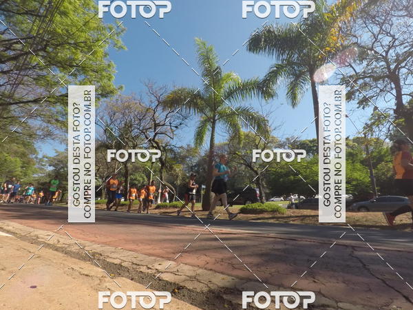 Buy your photos of the event35� Corrida INTEGRA��O EPTV 10K on Fotop