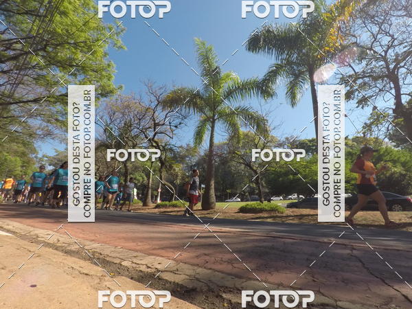 Buy your photos of the event35� Corrida INTEGRA��O EPTV 10K on Fotop