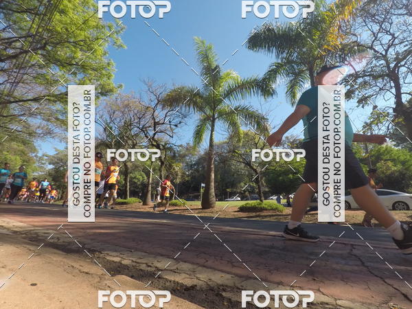 Buy your photos of the event35� Corrida INTEGRA��O EPTV 10K on Fotop