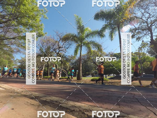 Buy your photos of the event35� Corrida INTEGRA��O EPTV 10K on Fotop