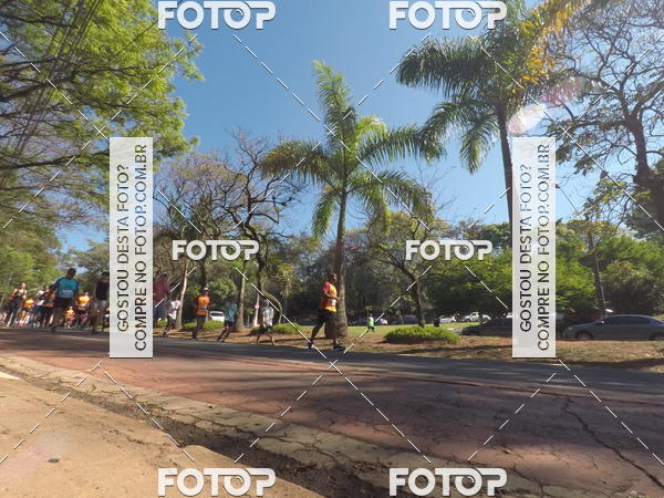 Buy your photos of the event35� Corrida INTEGRA��O EPTV 10K on Fotop