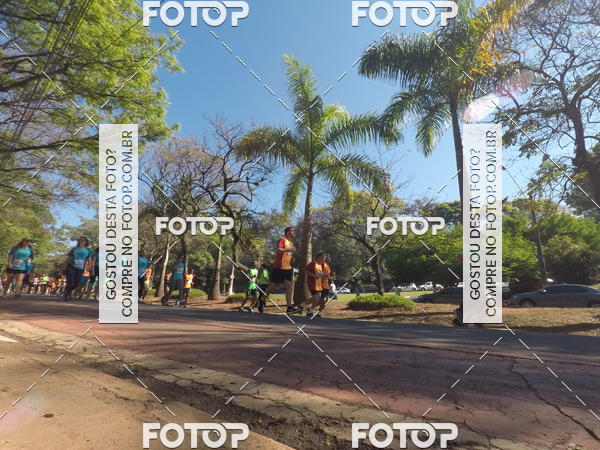 Buy your photos of the event35� Corrida INTEGRA��O EPTV 10K on Fotop