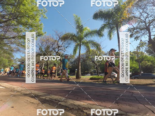 Buy your photos of the event35� Corrida INTEGRA��O EPTV 10K on Fotop