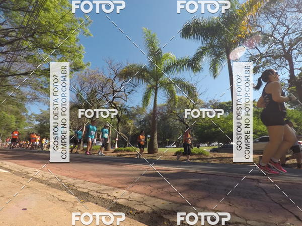 Buy your photos of the event35� Corrida INTEGRA��O EPTV 10K on Fotop