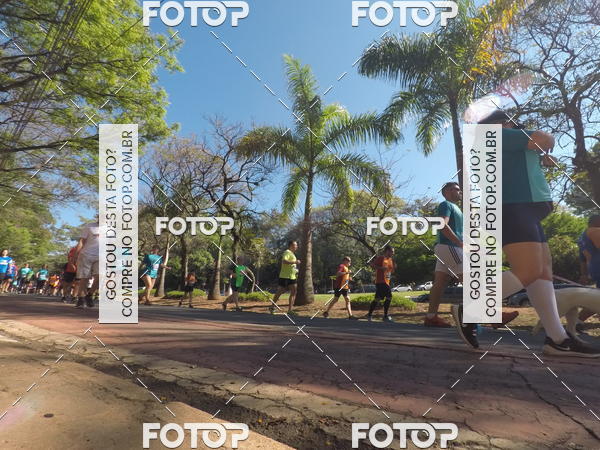 Buy your photos of the event35� Corrida INTEGRA��O EPTV 10K on Fotop