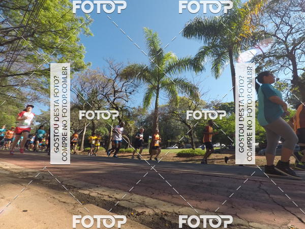 Buy your photos of the event35� Corrida INTEGRA��O EPTV 10K on Fotop