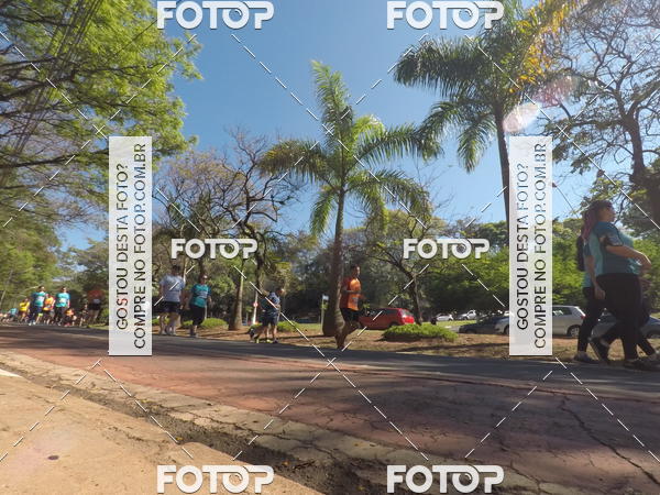 Buy your photos of the event35� Corrida INTEGRA��O EPTV 10K on Fotop