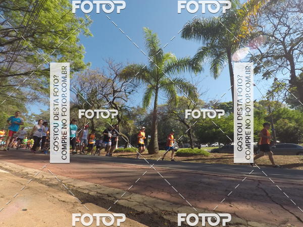 Buy your photos of the event35� Corrida INTEGRA��O EPTV 10K on Fotop