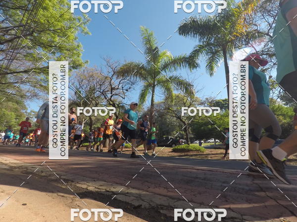 Buy your photos of the event35� Corrida INTEGRA��O EPTV 10K on Fotop