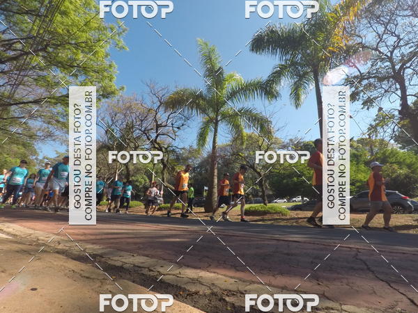 Buy your photos of the event35� Corrida INTEGRA��O EPTV 10K on Fotop