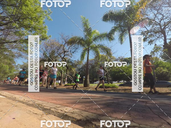 Buy your photos of the event35� Corrida INTEGRA��O EPTV 10K on Fotop