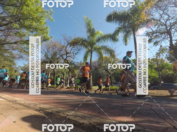 Buy your photos of the event35� Corrida INTEGRA��O EPTV 10K on Fotop