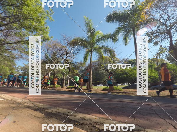 Buy your photos of the event35� Corrida INTEGRA��O EPTV 10K on Fotop