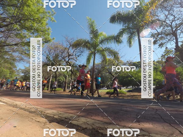 Buy your photos of the event35� Corrida INTEGRA��O EPTV 10K on Fotop