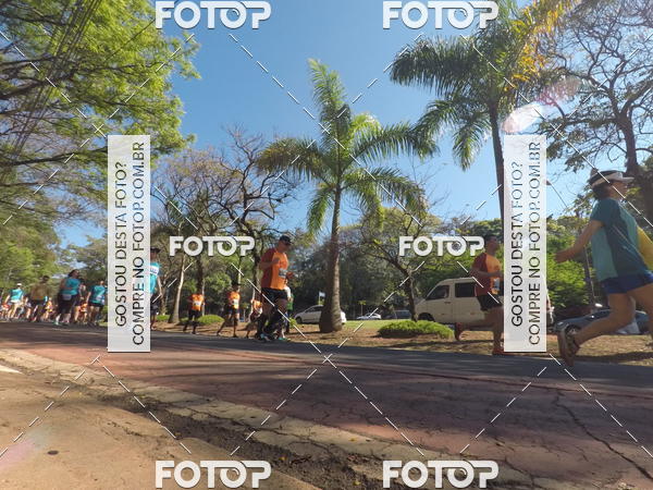 Buy your photos of the event35� Corrida INTEGRA��O EPTV 10K on Fotop