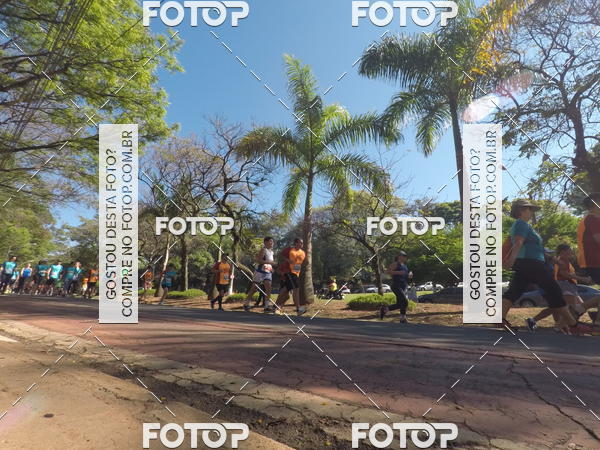 Buy your photos of the event35� Corrida INTEGRA��O EPTV 10K on Fotop