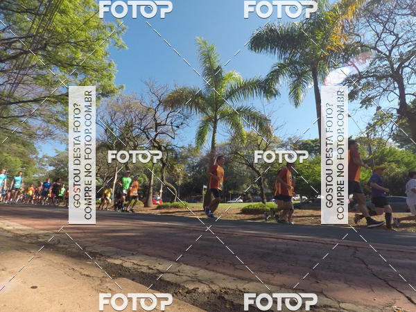 Buy your photos of the event35� Corrida INTEGRA��O EPTV 10K on Fotop