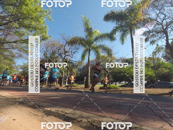 Buy your photos of the event35� Corrida INTEGRA��O EPTV 10K on Fotop