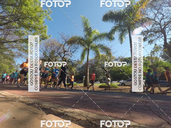 Buy your photos of the event35� Corrida INTEGRA��O EPTV 10K on Fotop