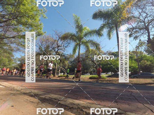 Buy your photos of the event35� Corrida INTEGRA��O EPTV 10K on Fotop