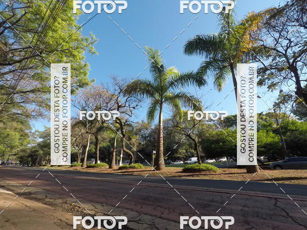 Buy your photos of the event35� Corrida INTEGRA��O EPTV 10K on Fotop