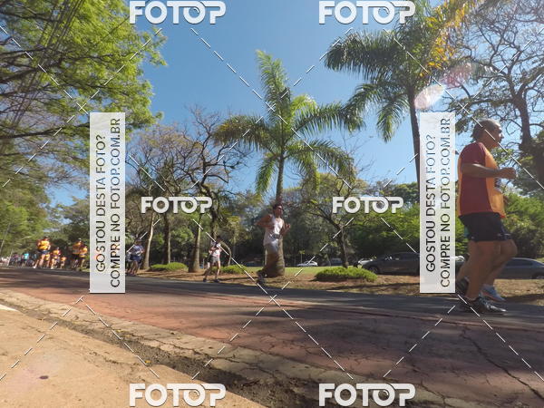 Buy your photos of the event35� Corrida INTEGRA��O EPTV 10K on Fotop