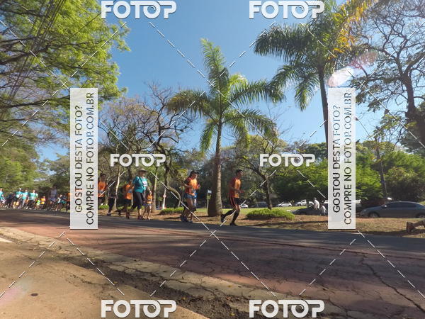 Buy your photos of the event35� Corrida INTEGRA��O EPTV 10K on Fotop