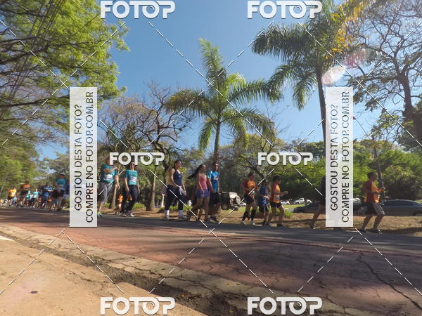 Buy your photos of the event35� Corrida INTEGRA��O EPTV 10K on Fotop