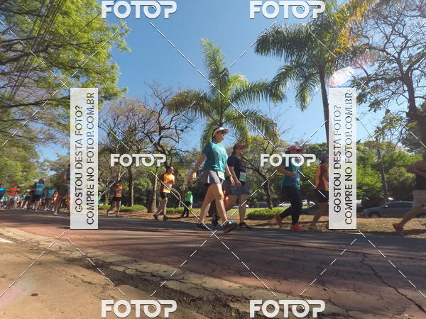 Buy your photos of the event35� Corrida INTEGRA��O EPTV 10K on Fotop