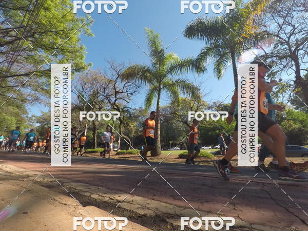 Buy your photos of the event35� Corrida INTEGRA��O EPTV 10K on Fotop