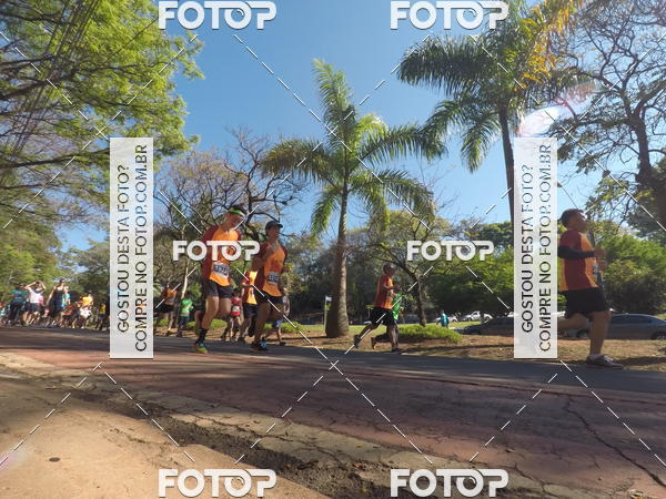 Buy your photos of the event35� Corrida INTEGRA��O EPTV 10K on Fotop