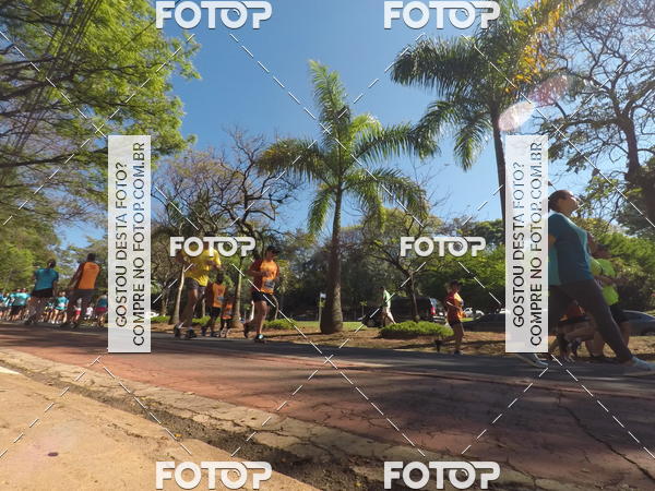 Buy your photos of the event35� Corrida INTEGRA��O EPTV 10K on Fotop
