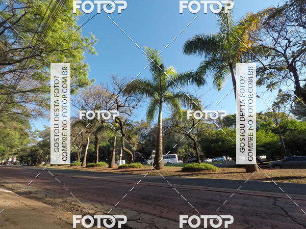 Buy your photos of the event35� Corrida INTEGRA��O EPTV 10K on Fotop