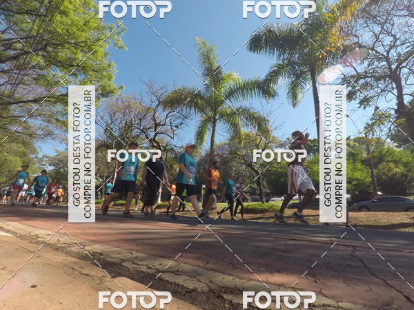 Buy your photos of the event35� Corrida INTEGRA��O EPTV 10K on Fotop