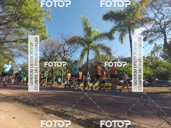 Buy your photos of the event35� Corrida INTEGRA��O EPTV 10K on Fotop