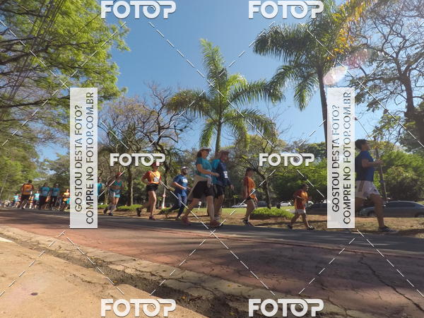 Buy your photos of the event35� Corrida INTEGRA��O EPTV 10K on Fotop