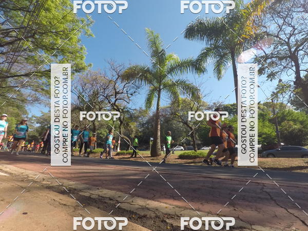 Buy your photos of the event35� Corrida INTEGRA��O EPTV 10K on Fotop