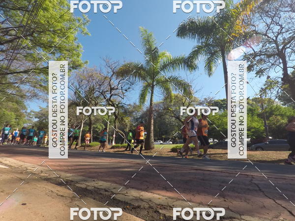 Buy your photos of the event35� Corrida INTEGRA��O EPTV 10K on Fotop