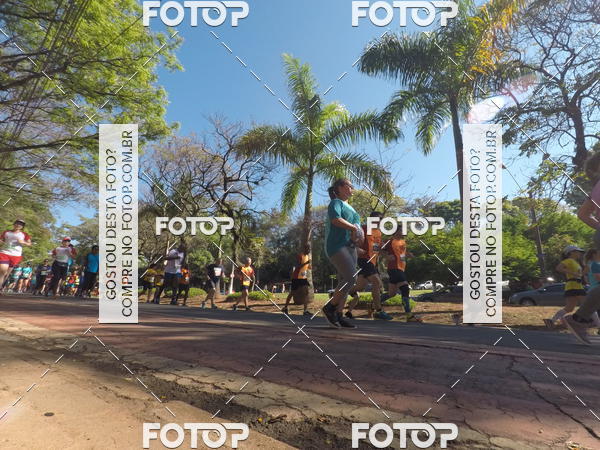 Buy your photos of the event35� Corrida INTEGRA��O EPTV 10K on Fotop