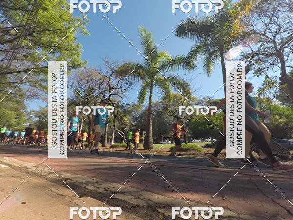 Buy your photos of the event35� Corrida INTEGRA��O EPTV 10K on Fotop
