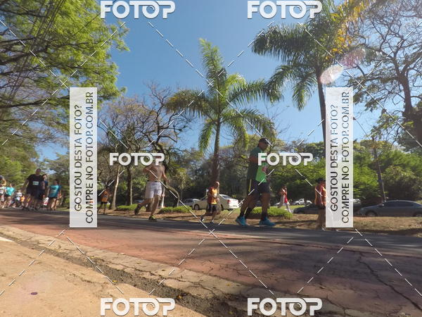 Buy your photos of the event35� Corrida INTEGRA��O EPTV 10K on Fotop