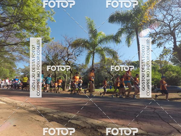 Buy your photos of the event35� Corrida INTEGRA��O EPTV 10K on Fotop