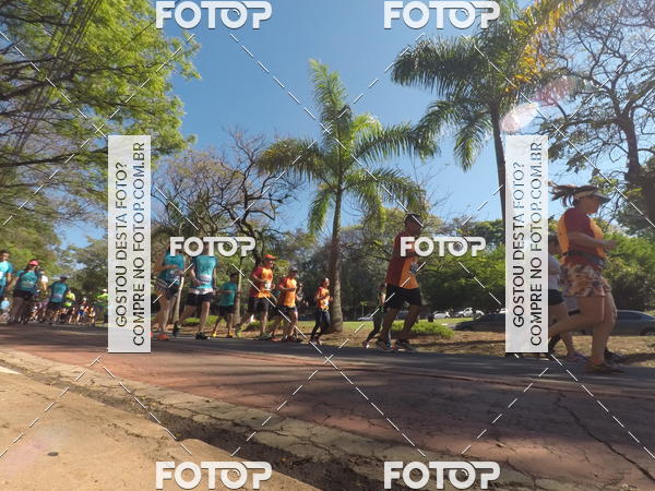 Buy your photos of the event35� Corrida INTEGRA��O EPTV 10K on Fotop
