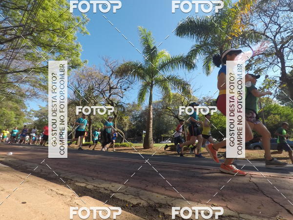 Buy your photos of the event35� Corrida INTEGRA��O EPTV 10K on Fotop