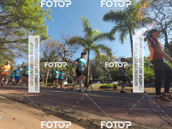 Buy your photos of the event35� Corrida INTEGRA��O EPTV 10K on Fotop
