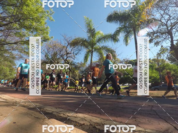 Buy your photos of the event35� Corrida INTEGRA��O EPTV 10K on Fotop
