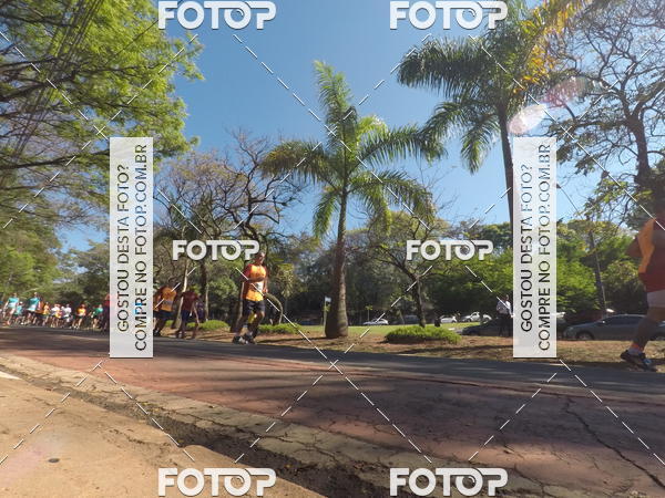 Buy your photos of the event35� Corrida INTEGRA��O EPTV 10K on Fotop