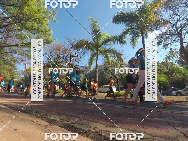 Buy your photos of the event35� Corrida INTEGRA��O EPTV 10K on Fotop
